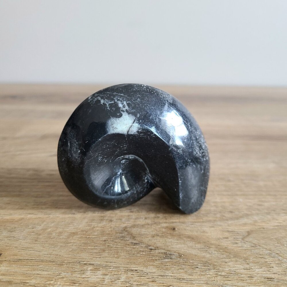 Ammonite Display Piece Paper Weight Morocco.